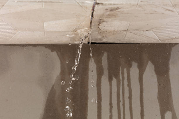 Professional Water Damage Inspection technician working in Virginia, IL
